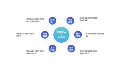 低代码技术在研发团队的应用模式探讨